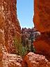 Bryce Canyon 09